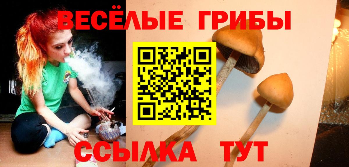 Псилоцибиновые грибы прущие грибы Аргун