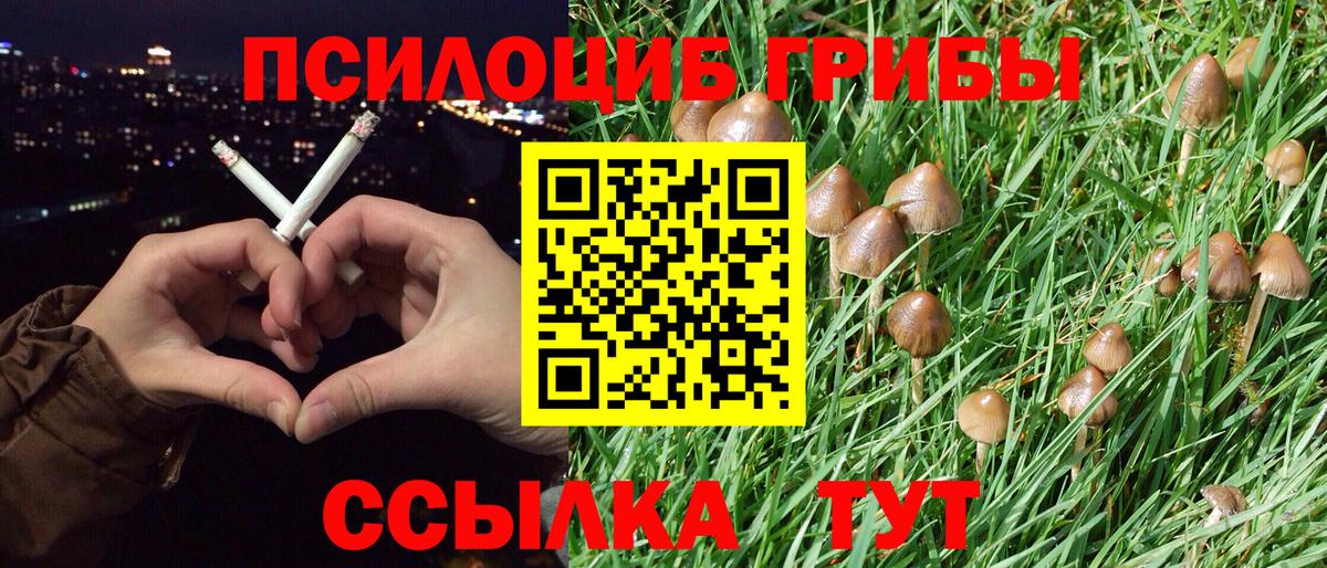 Аргун  Галлюциногенные грибы Magic Shrooms  Вход с VPN  купить закладку  Галлюциногенные грибы мицелий 